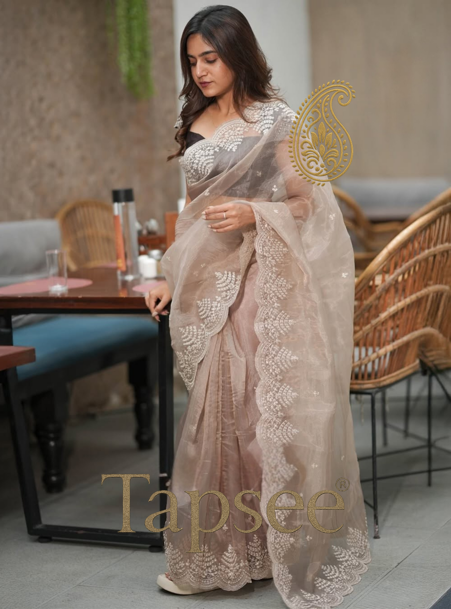 Mocha Elegance Embroidered Saree